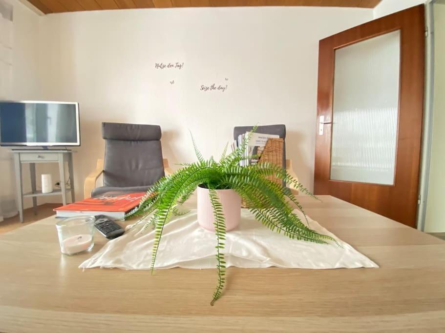 Cozy Home In South-Germany Klettgau エクステリア 写真
