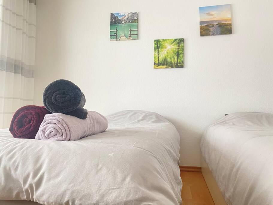 Cozy Home In South-Germany Klettgau エクステリア 写真